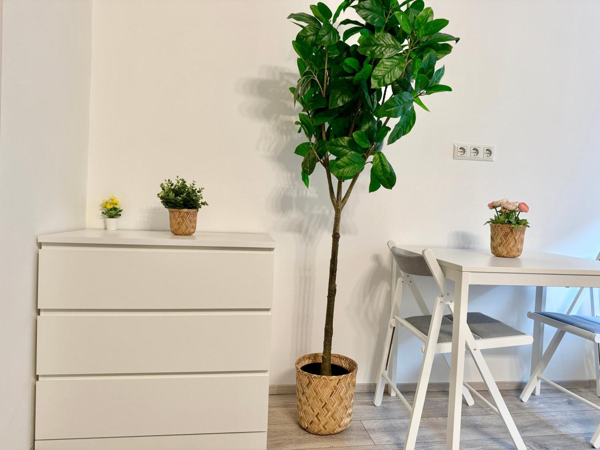 Stylish Schonbrunn Apartments With Free Parking Viena Exterior foto